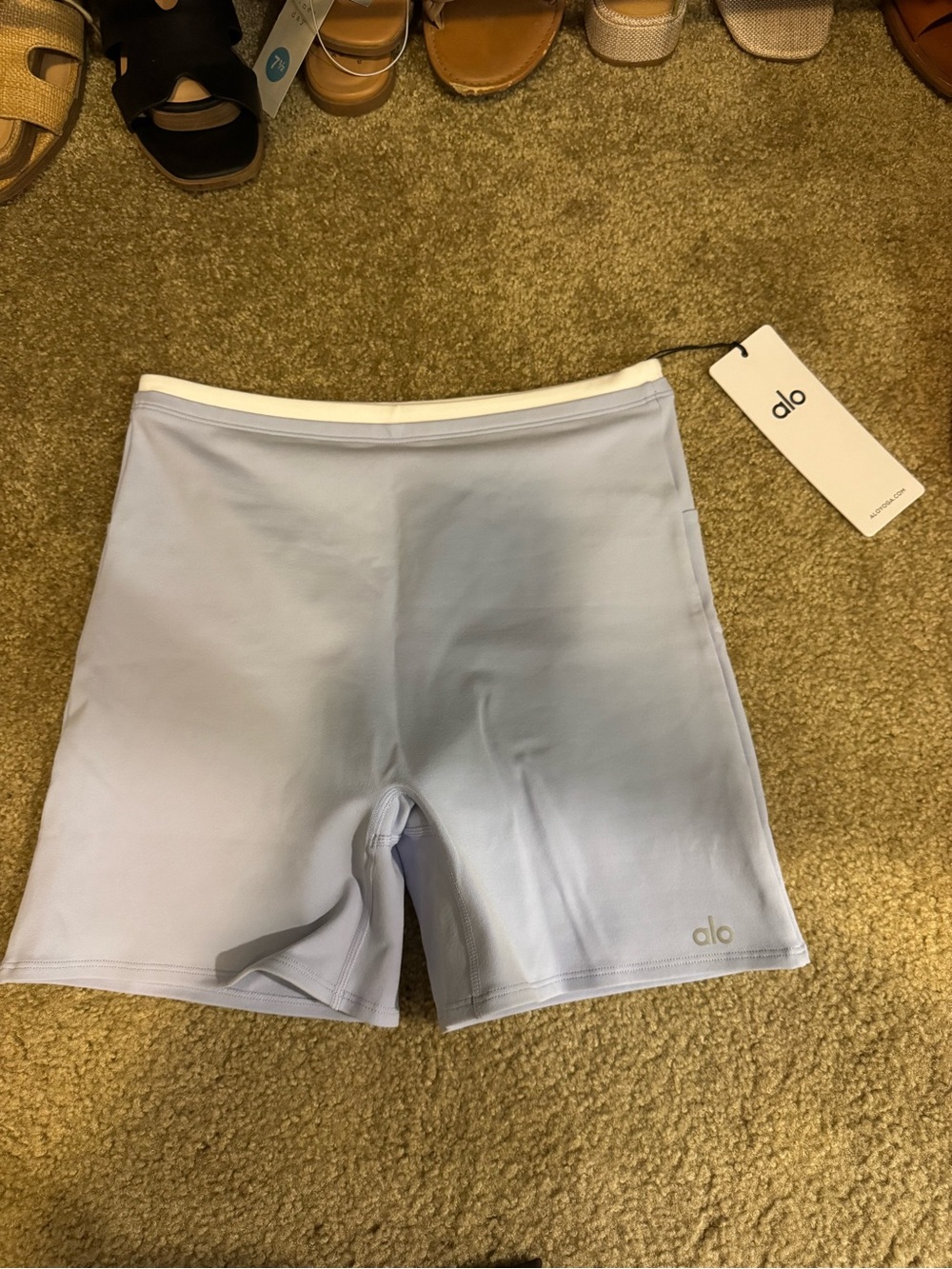 ALO Yoga Light Blue High-Rise Bike Shorts